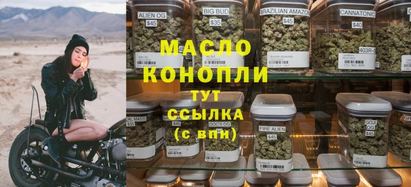 гашик Арсеньев