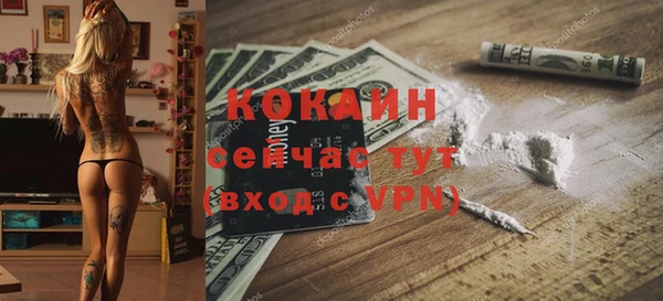 гашик Арсеньев