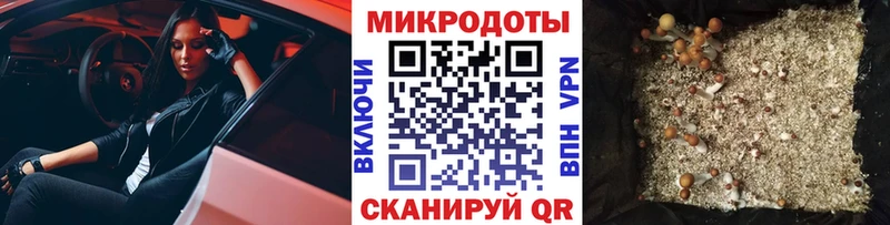 Псилоцибиновые грибы Psilocybe  Асбест 