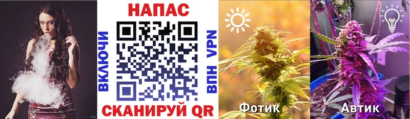 что такое   Асбест  Бошки Шишки VHQ 
